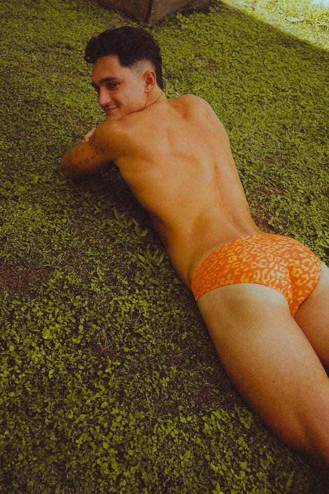 Sizzle Swim Brief in Sun Leopard